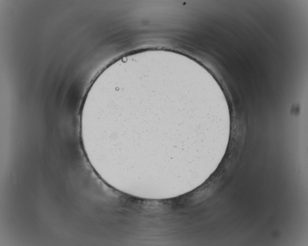 X0000111500807200907281249