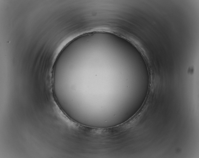 X0000111500808200907281249