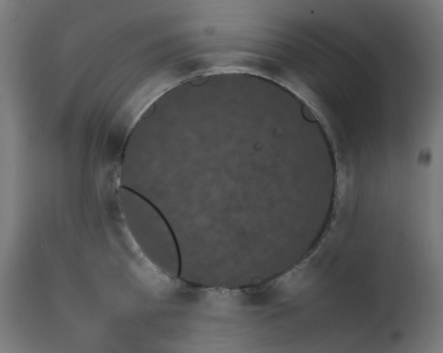 X0000111500809200907281249