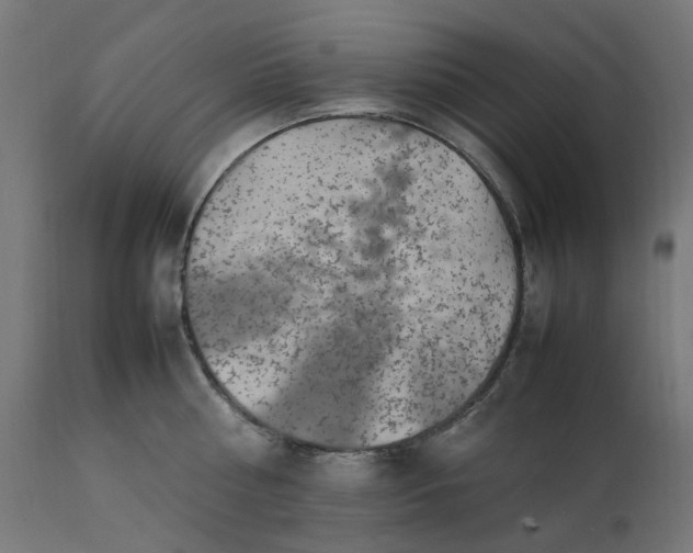 X0000111500810200907281249