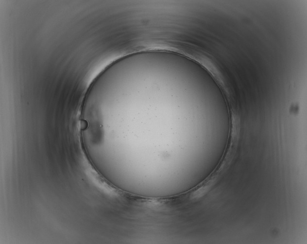 X0000111500814200907281249