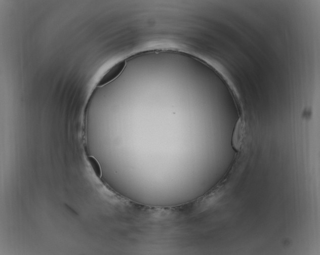 X0000111500815200907281249