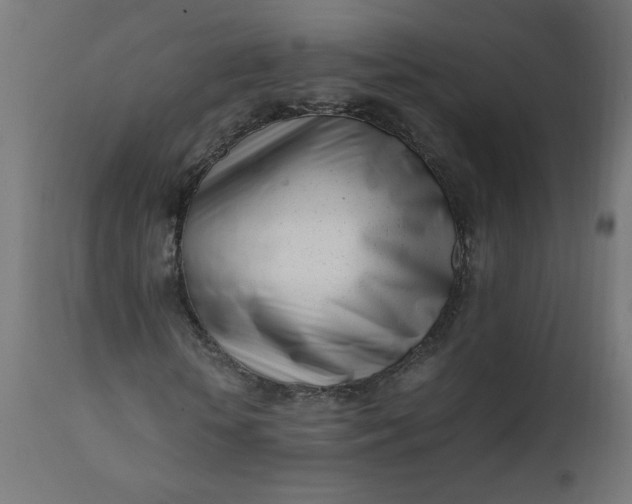 X0000111500818200907281249