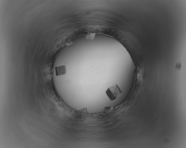 X0000111500819200907281249