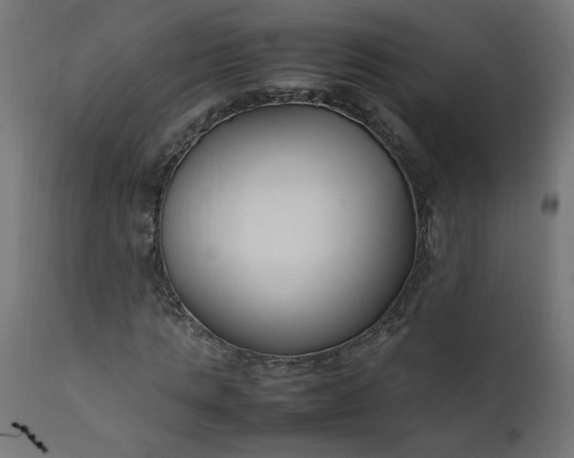 X0000111500821200907281249