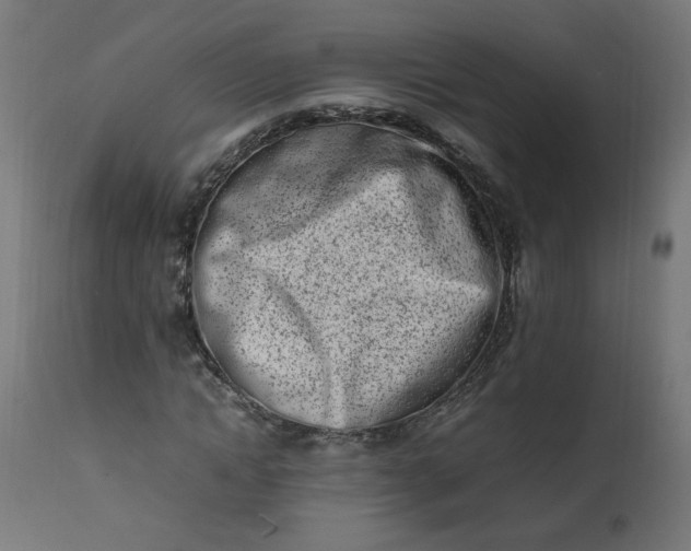 X0000111500822200907281249