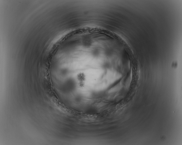 X0000111500823200907281249