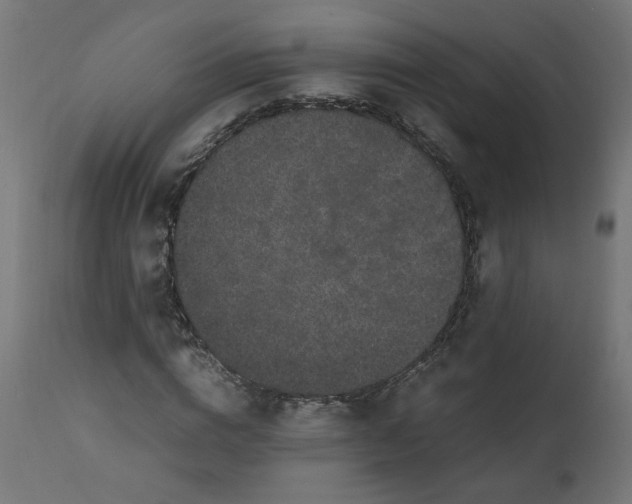 X0000111500824200907281249