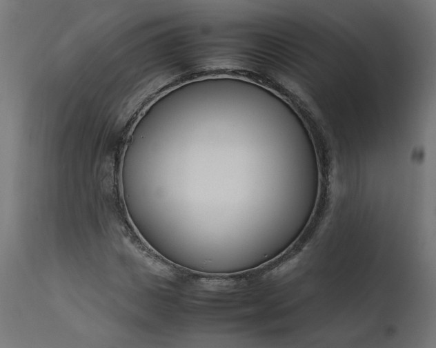 X0000111500825200907281249