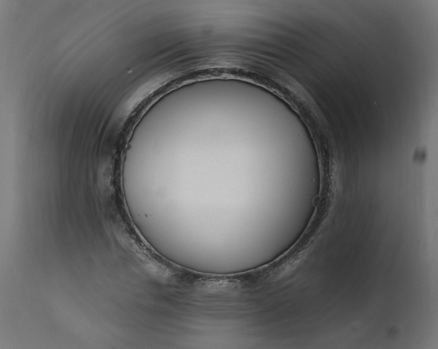 X0000111500826200907281249