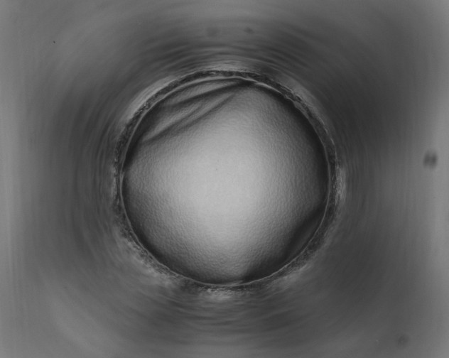 X0000111500829200907281249