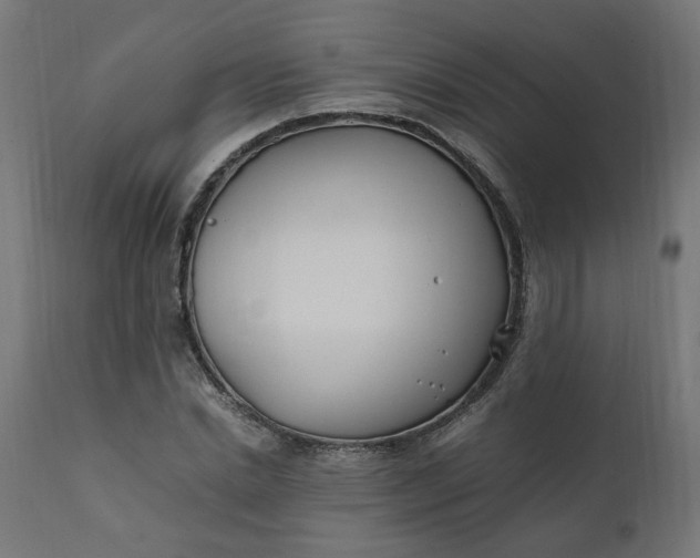 X0000111500830200907281249