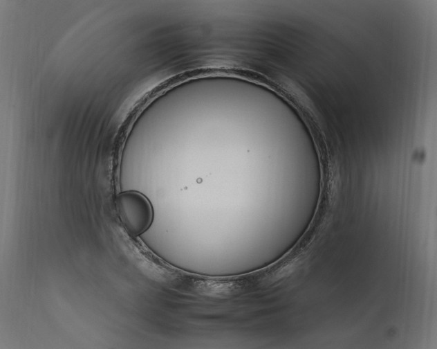 X0000111500831200907281249