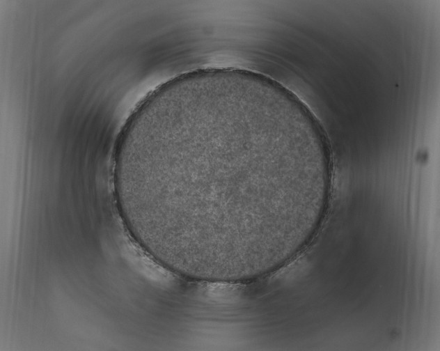 X0000111500832200907281249