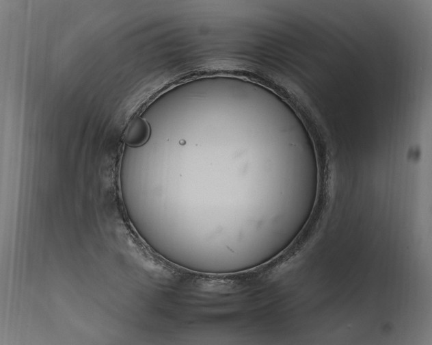 X0000111500833200907281249