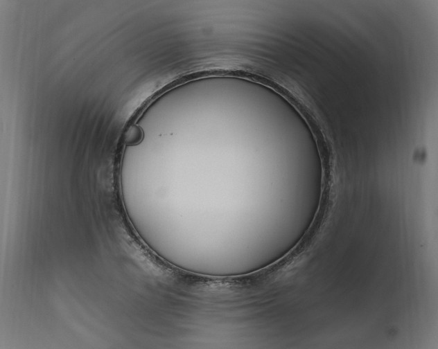 X0000111500834200907281249