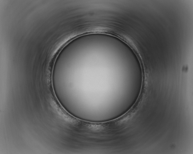 X0000111500835200907281249