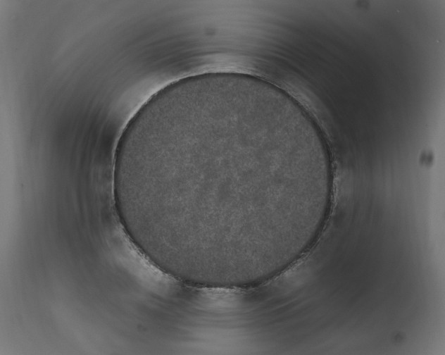 X0000111500836200907281249