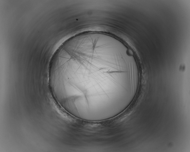 X0000111500837200907281249