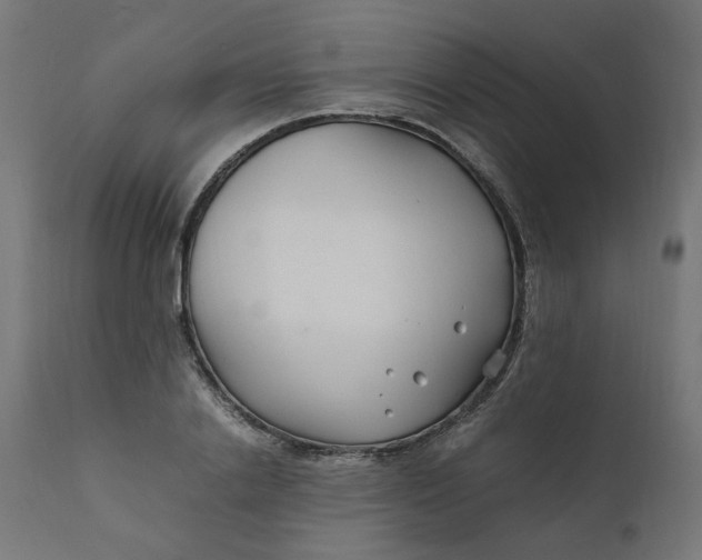 X0000111500838200907281249