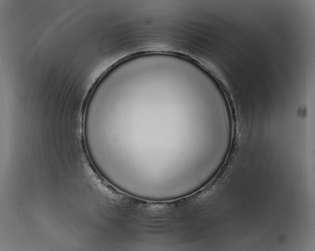 X0000111500839200907281249