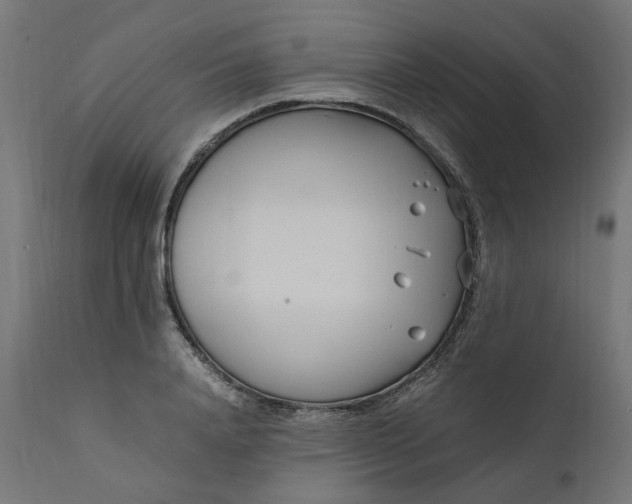 X0000111500840200907281249