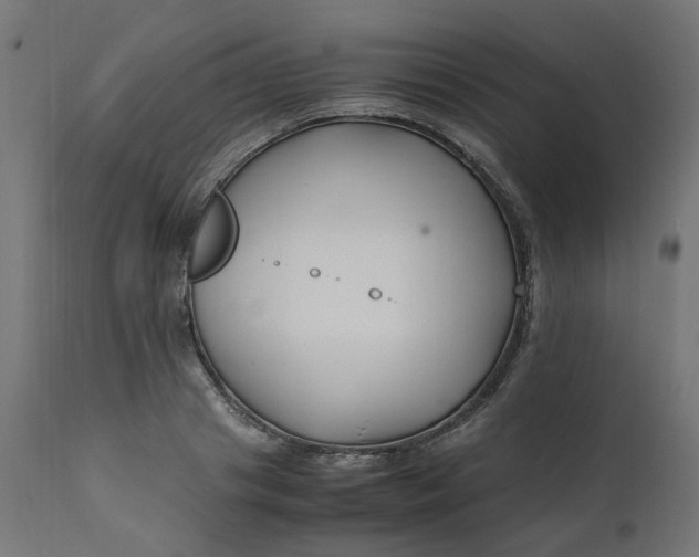 X0000111500841200907281249