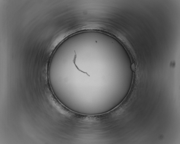 X0000111500842200907281249