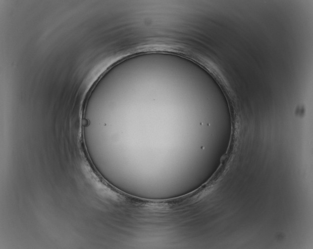 X0000111500844200907281249