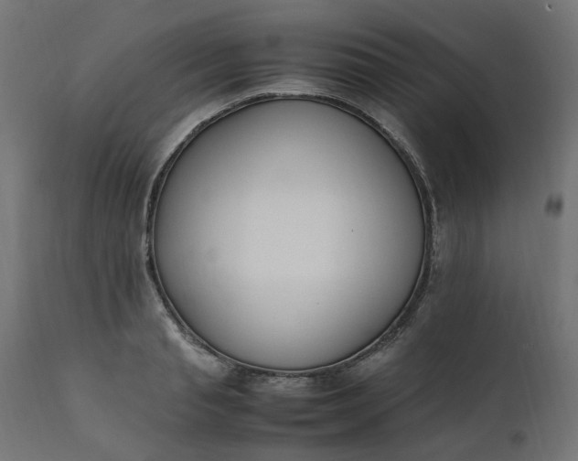 X0000111500845200907281249