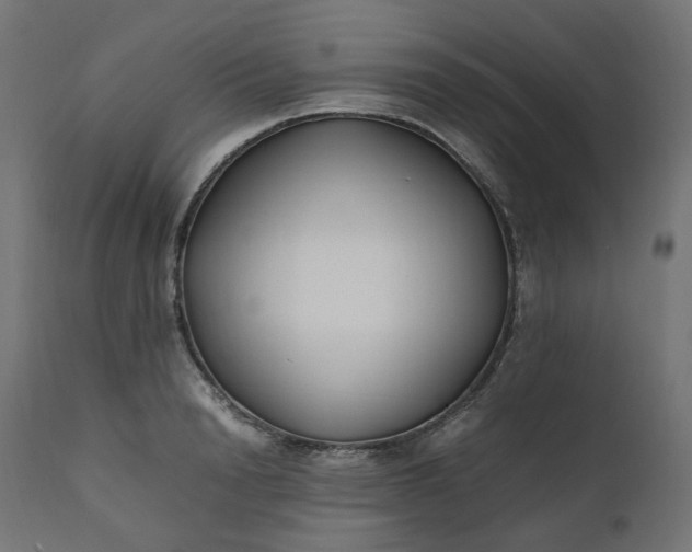 X0000111500846200907281249