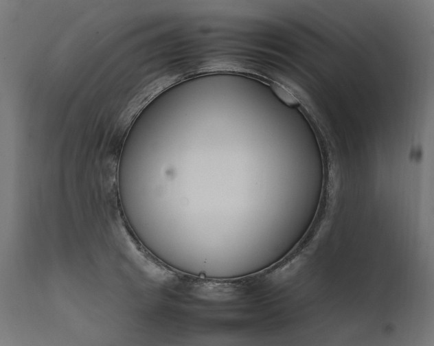 X0000111500849200907281249