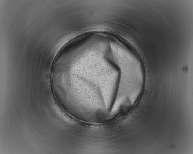 X0000111500850200907281249