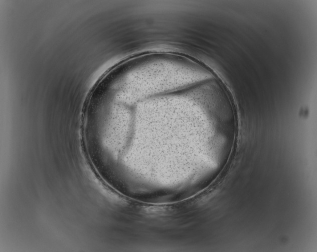 X0000111500853200907281249