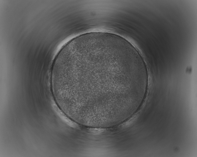 X0000111500854200907281249