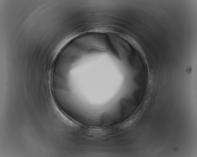 X0000111500855200907281249