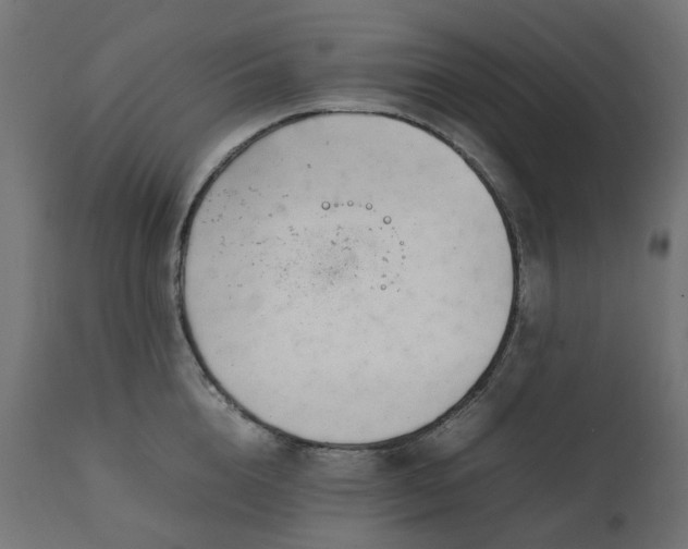 X0000111500856200907281249