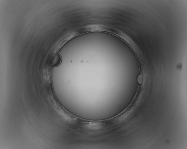 X0000111500857200907281249