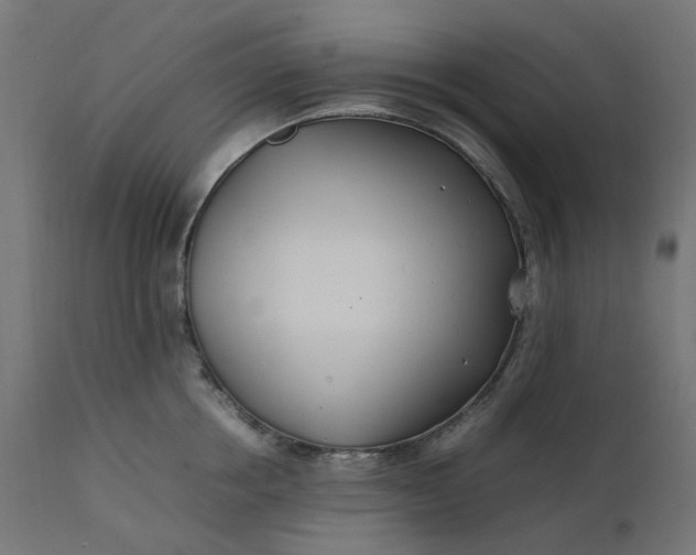 X0000111500858200907281249