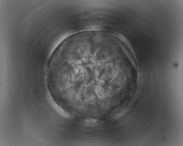 X0000111500859200907281249