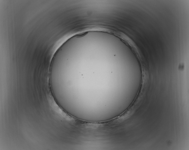 X0000111500860200907281249