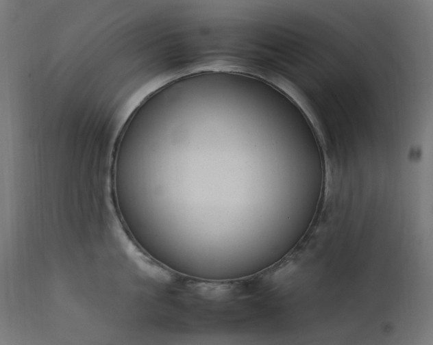 X0000111500861200907281249