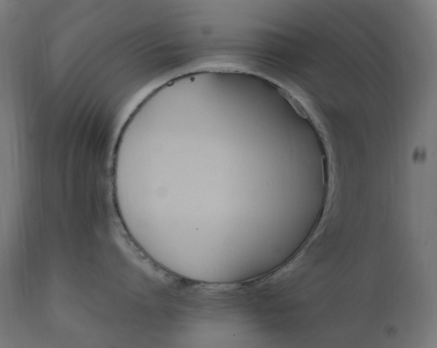 X0000111500864200907281249