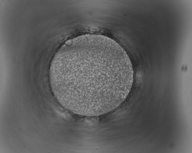 X0000111500865200907281248