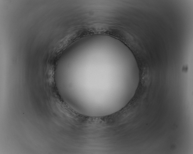 X0000111500866200907281248