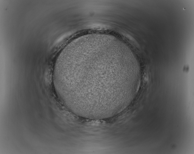 X0000111500869200907281248