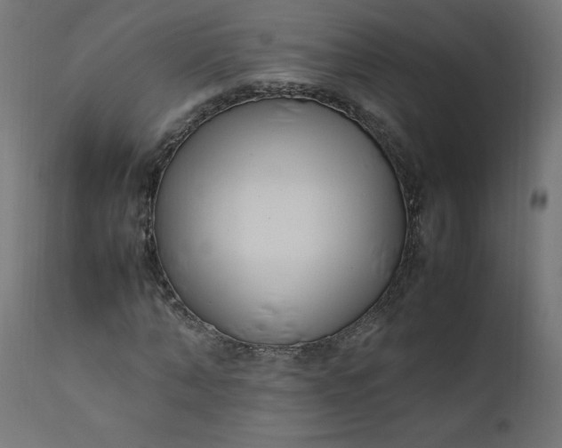 X0000111500870200907281248