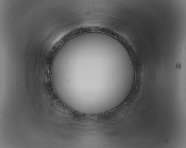 X0000111500871200907281248