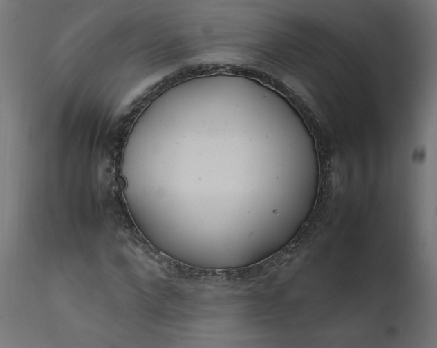 X0000111500872200907281248