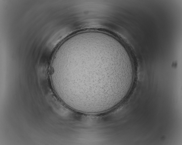 X0000111500873200907281248